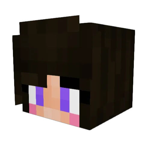 Fallen_Plague Minecraft avatar head, 3D render