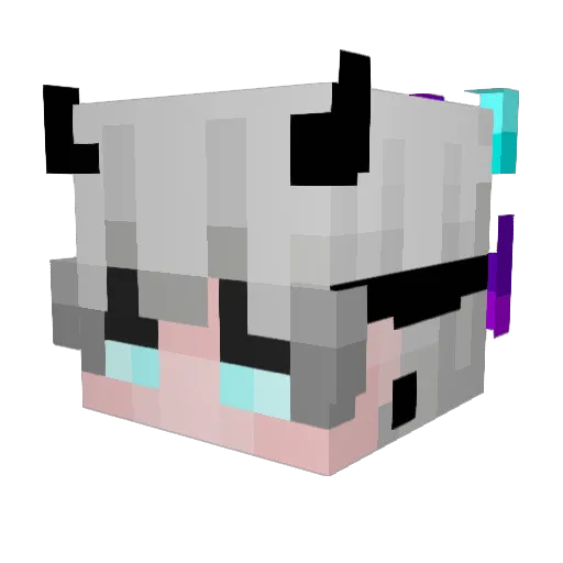 Fallen_Rom Minecraft avatar head, 3D render