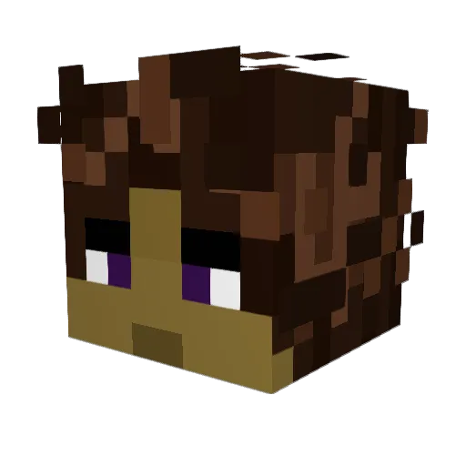 Fallen_Sunny Minecraft avatar head, 3D render