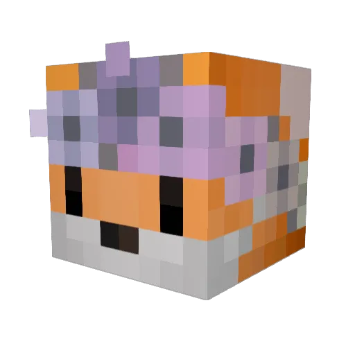 Fallen_Totem Minecraft avatar head, 3D render