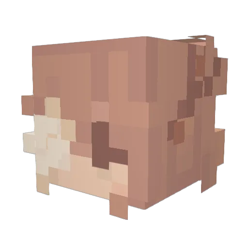 Fallengenic Minecraft avatar head, 3D render