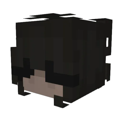 FallennAshes Minecraft avatar head, 3D render