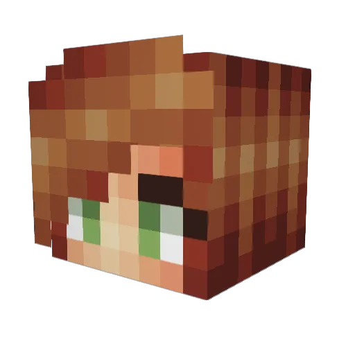 Fallenstar10 Minecraft avatar head, 3D render