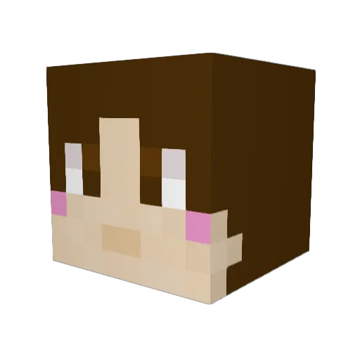 Fallgibbon11606 Minecraft avatar head, 3D render