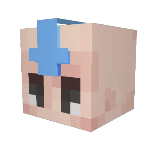 FallinGuy09 Minecraft avatar head, 3D render