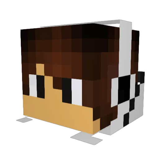 FallingAnvils Minecraft avatar head, 3D render