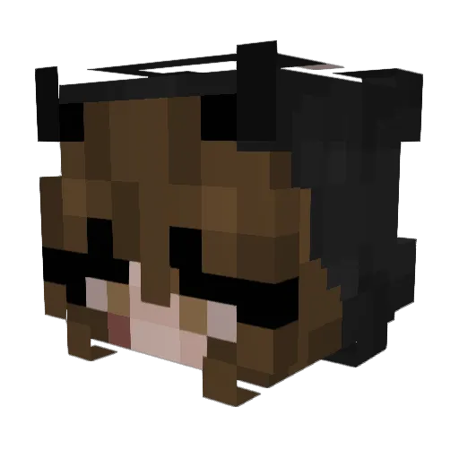 FallingTears Minecraft avatar head, 3D render