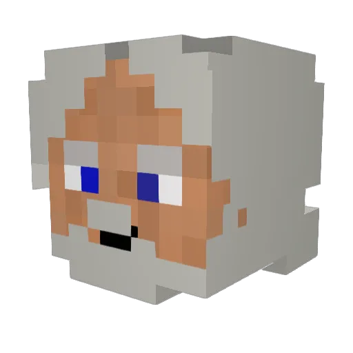 Falling_Star123 Minecraft avatar head, 3D render