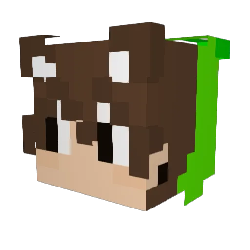 Falling_fox47 Minecraft avatar head, 3D render