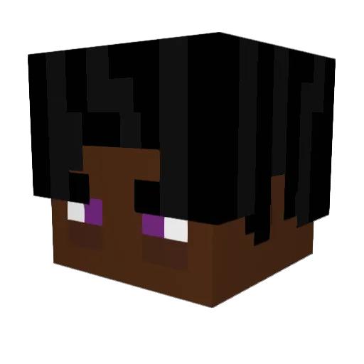 FallinsOp Minecraft avatar head, 3D render