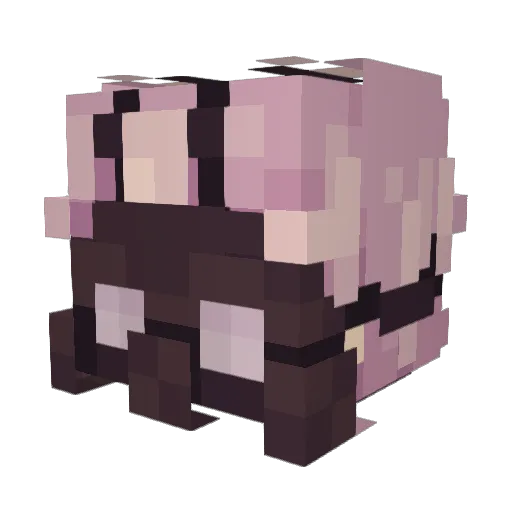 Fallita Minecraft avatar head, 3D render