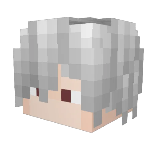 FalllighT1d Minecraft avatar head, 3D render