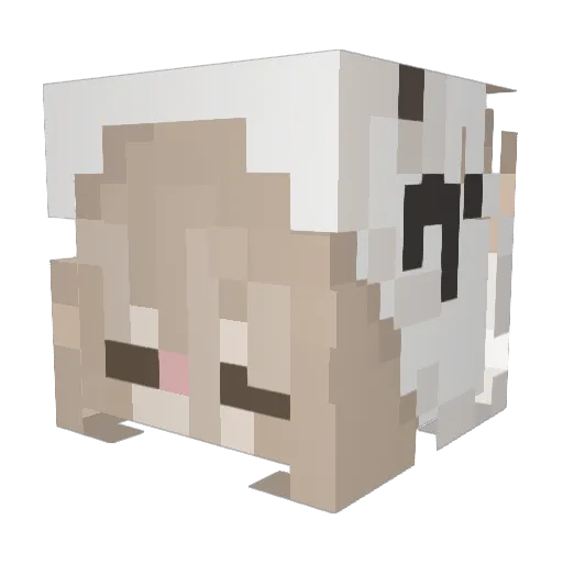 Fallon207 Minecraft avatar head, 3D render