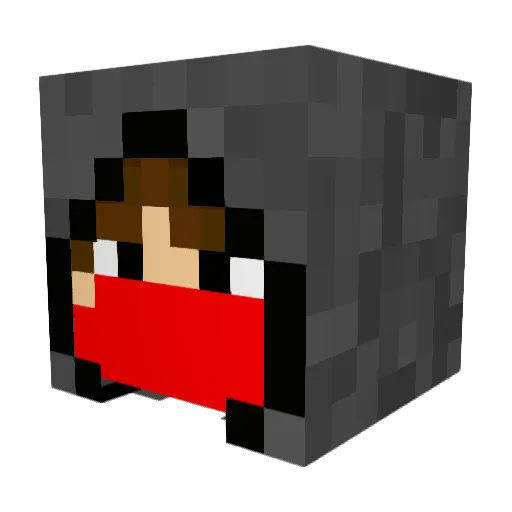 Fallout3009 Minecraft avatar head, 3D render