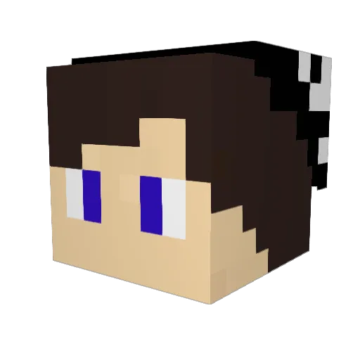 FalloutKid Minecraft avatar head, 3D render