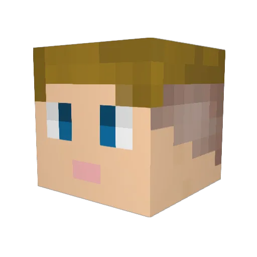 Fallout_Hosting Minecraft avatar head, 3D render