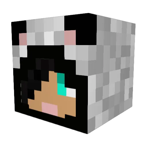 FallowWing Minecraft avatar head, 3D render