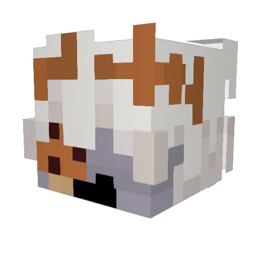 Fallsale Minecraft avatar head, 3D render