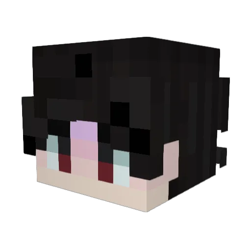 Fallsinho Minecraft avatar head, 3D render
