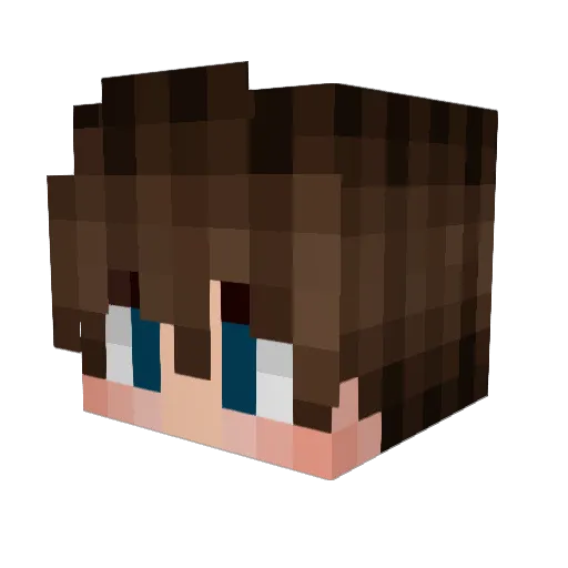 Falo888 Minecraft avatar head, 3D render
