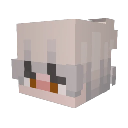 Falonexx Minecraft avatar head, 3D render