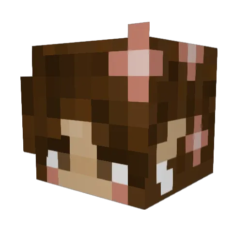Faloofa167 Minecraft avatar head, 3D render