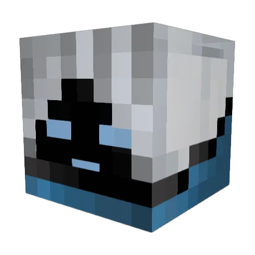 Fals3hanz Minecraft avatar head, 3D render
