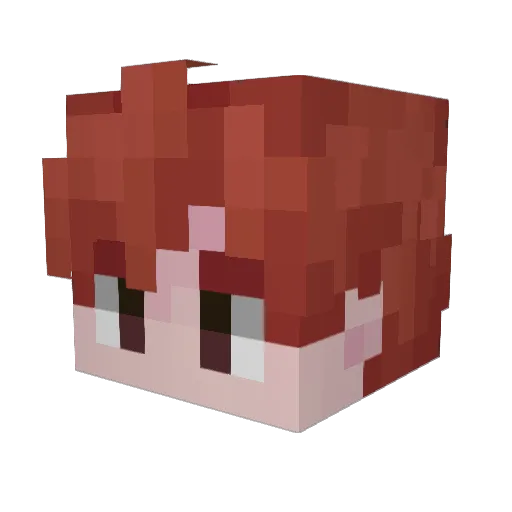 FalsPlayer_ Minecraft avatar head, 3D render
