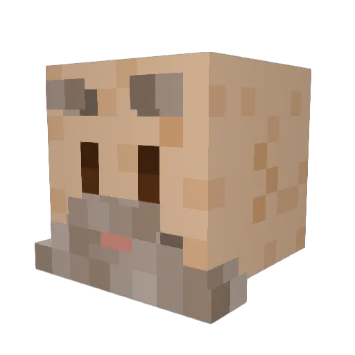 FalseAccusations Minecraft avatar head, 3D render