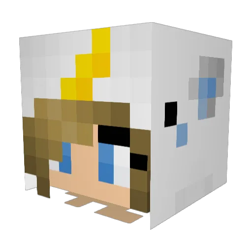 FalseAnti Minecraft avatar head, 3D render