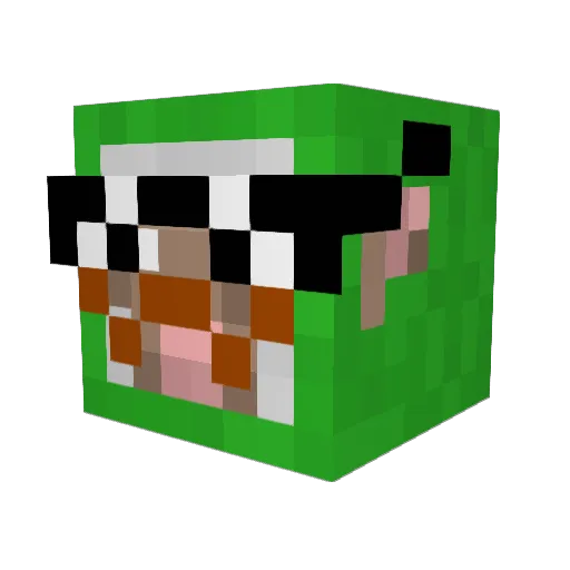 FalseBanned_ Minecraft avatar head, 3D render