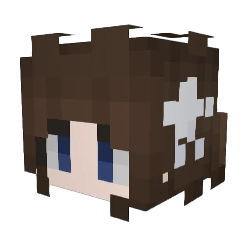 FalseCamellia Minecraft avatar head, 3D render