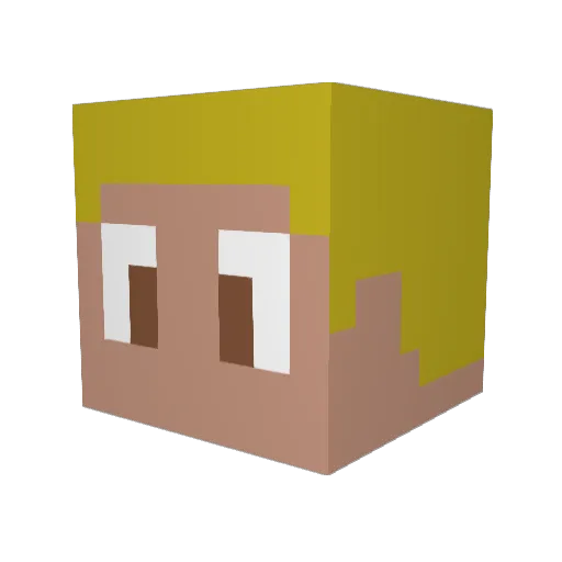 FalseShadowKing Minecraft avatar head, 3D render