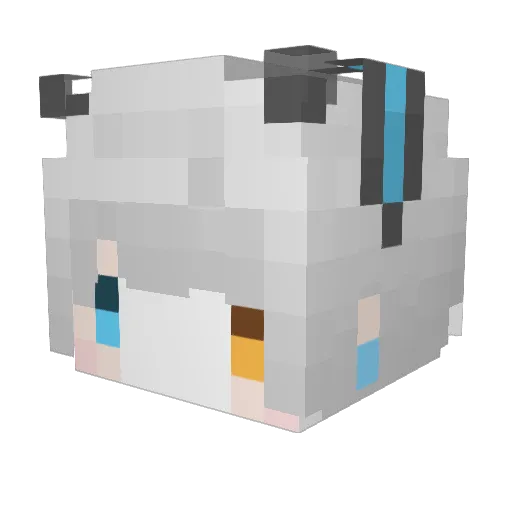Falseperson Minecraft avatar head, 3D render
