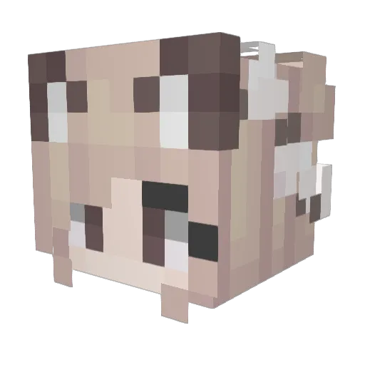 Falter Minecraft avatar head, 3D render