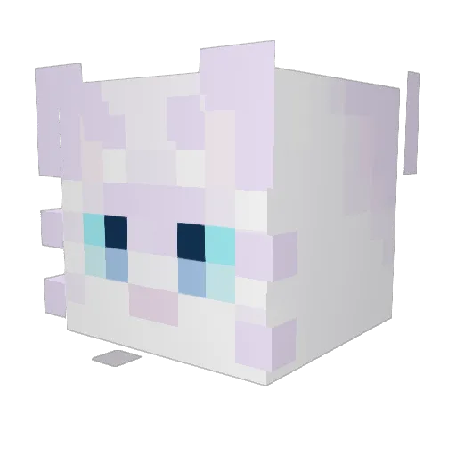 Faltr0 Minecraft avatar head, 3D render