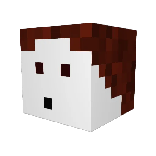 Faluth Minecraft avatar head, 3D render