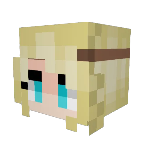 Fam_Koch Minecraft avatar head, 3D render
