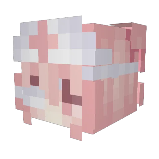 FameGG Minecraft avatar head, 3D render