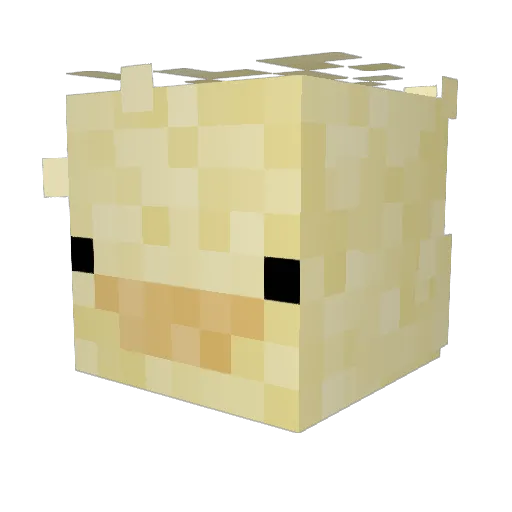 FamedSundew5046 Minecraft avatar head, 3D render