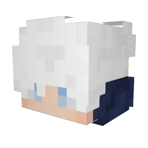 Family187 Minecraft avatar head, 3D render