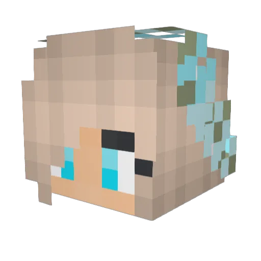 Family_707 Minecraft avatar head, 3D render