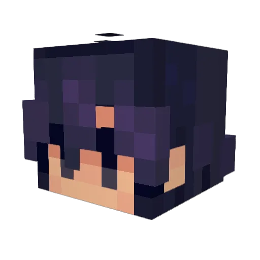 FamousDuck Minecraft avatar head, 3D render