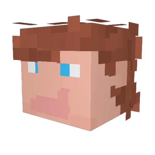 Famro Minecraft avatar head, 3D render
