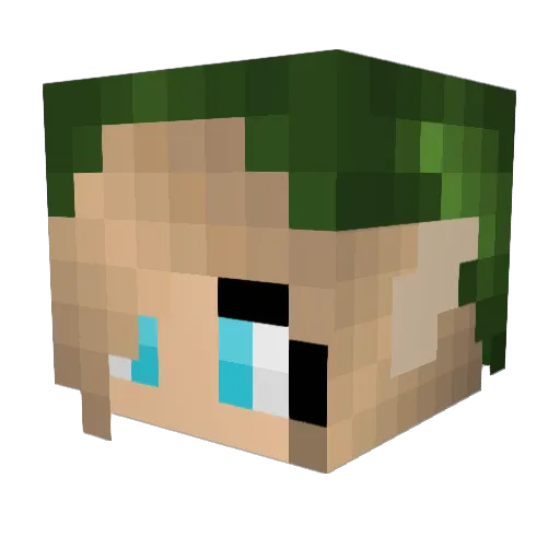 Fan2Link Minecraft avatar head, 3D render