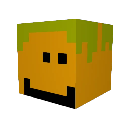 FanDis24 Minecraft avatar head, 3D render