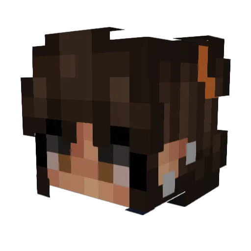 FanFicFan Minecraft avatar head, 3D render