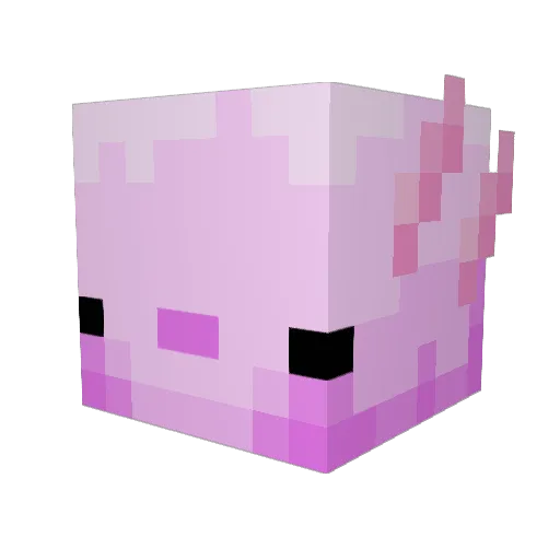 FanFive Minecraft avatar head, 3D render