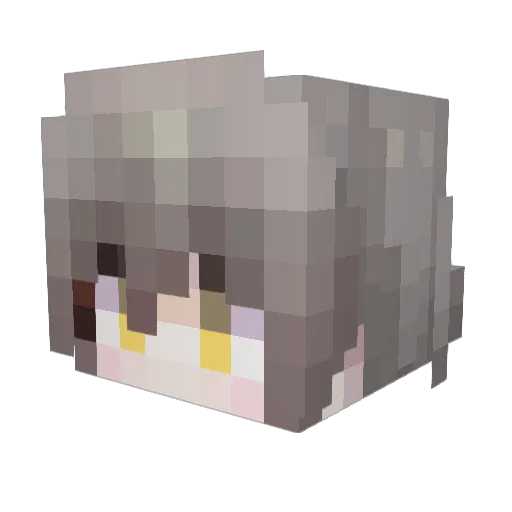 FanGan_ Minecraft avatar head, 3D render