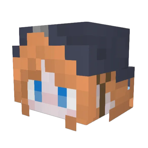 FanGuan Minecraft avatar head, 3D render